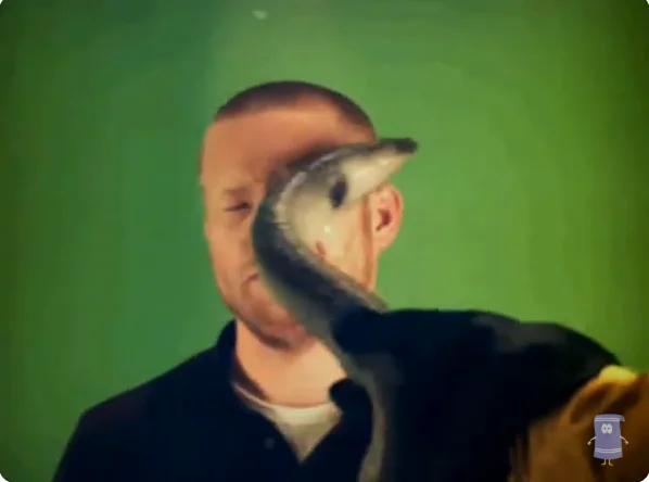 Eel Slap